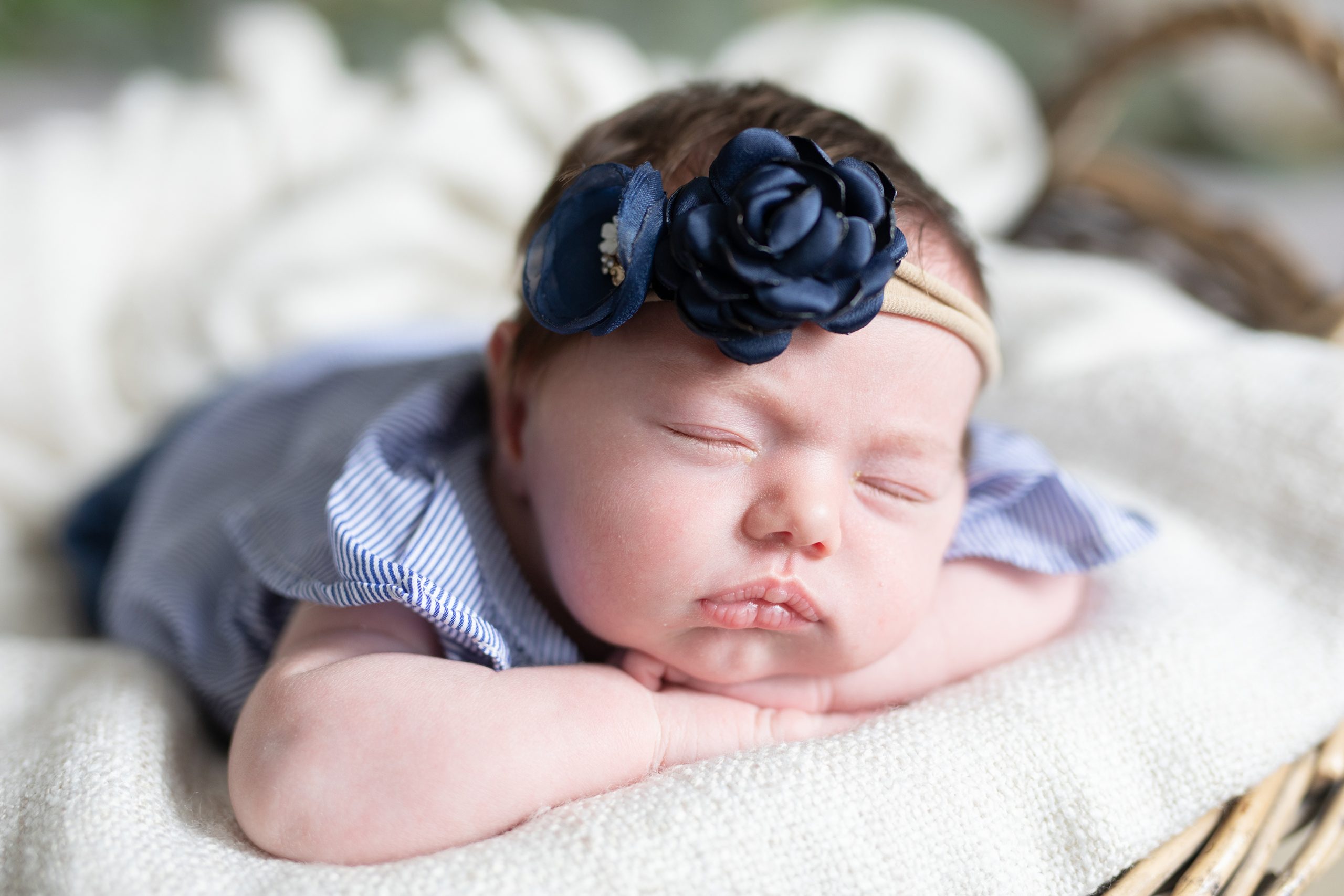 photographe bébé Le Havre