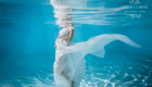 photographe underwater le havre grossesse