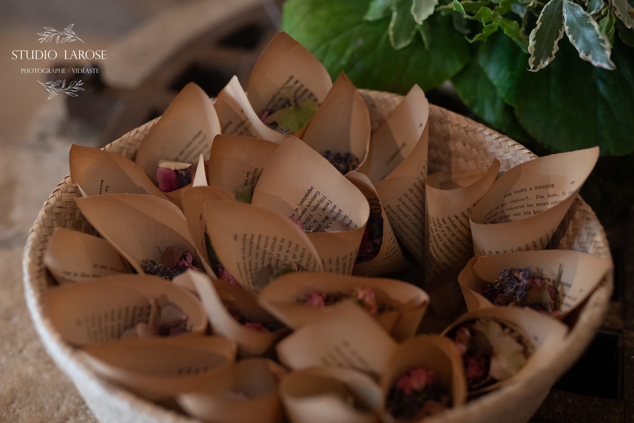 photographe mariage le havre 