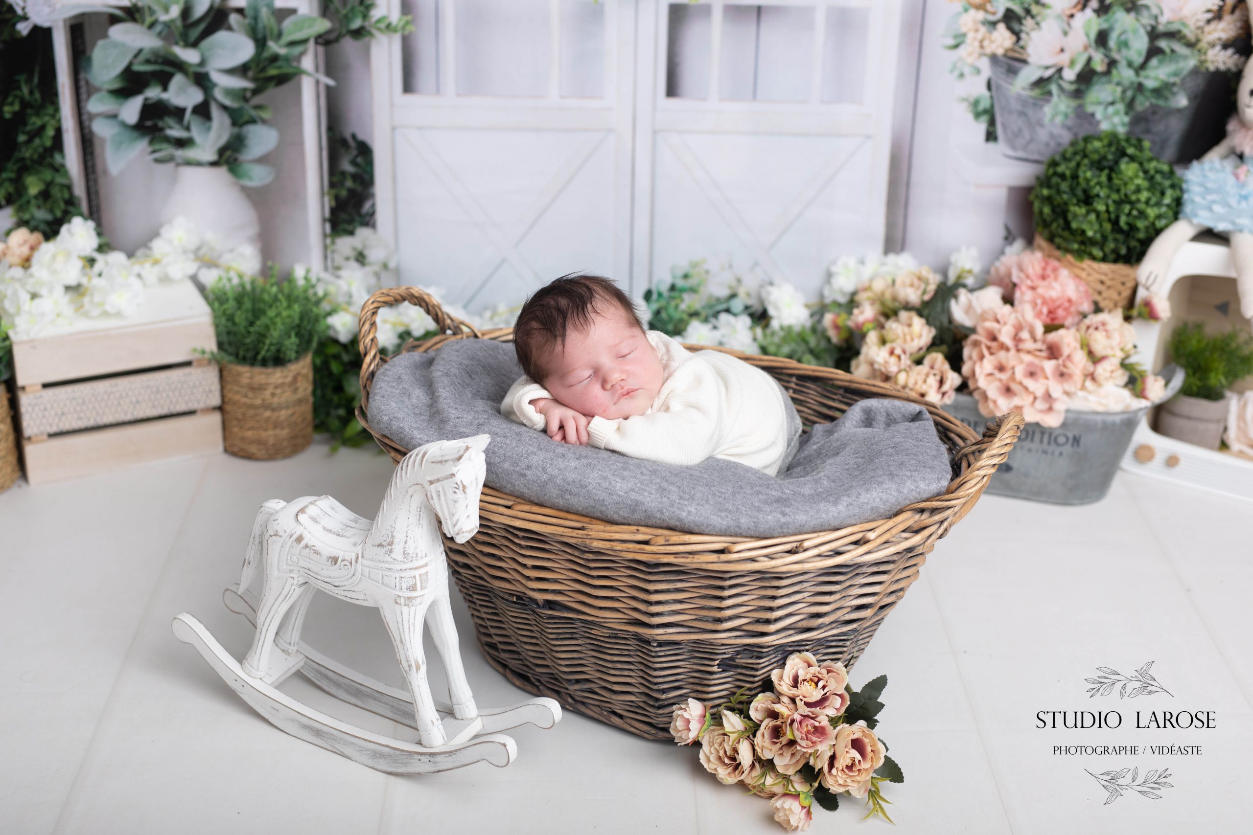 Photographe bébé montivilliers